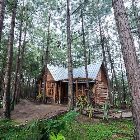 Ecohotel Los Pinos Hobo Екстериор снимка