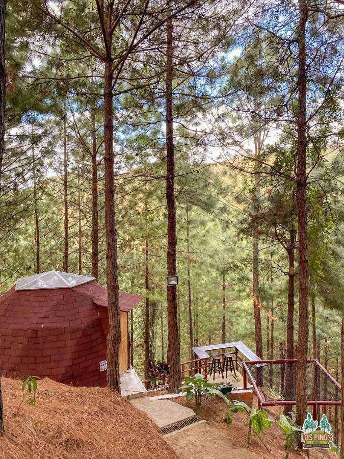 Ecohotel Los Pinos Hobo Екстериор снимка